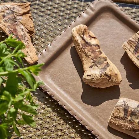 Casa Tagoo Mykonos ホテル Tagou