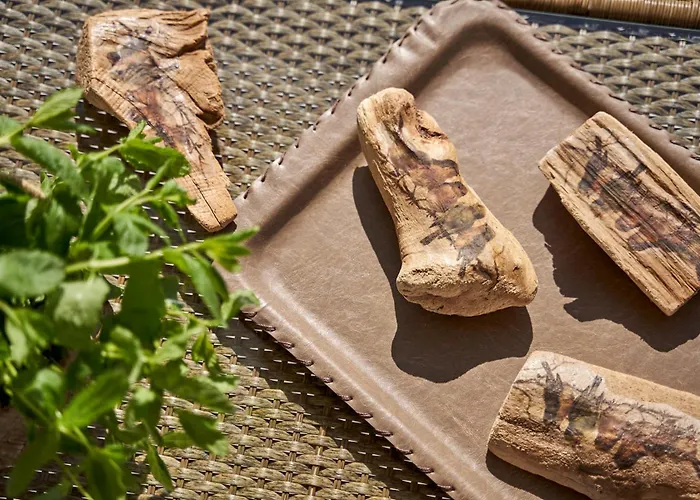 Casa Tagoo Mykonos ホテル Tagou